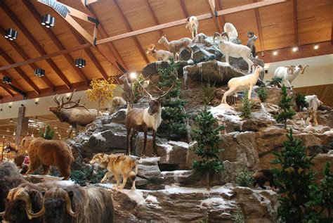 Cabela's maine - Cabela's, Scarborough: See 61 reviews, articles, and 37 photos of Cabela's, ranked No.19 on Tripadvisor among 19 attractions in Scarborough.